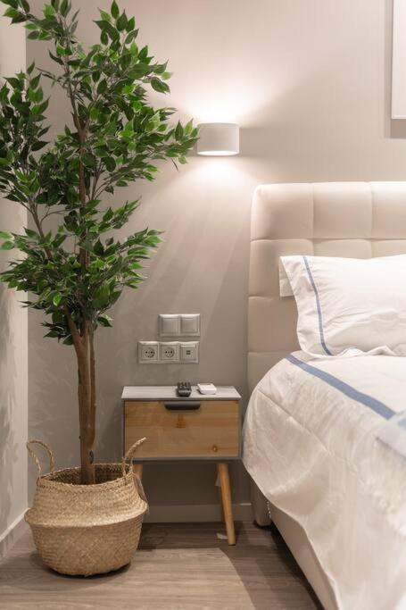 A11 Pristine & Comfy Studio Near Plaka & Parthenon Афіни Екстер'єр фото