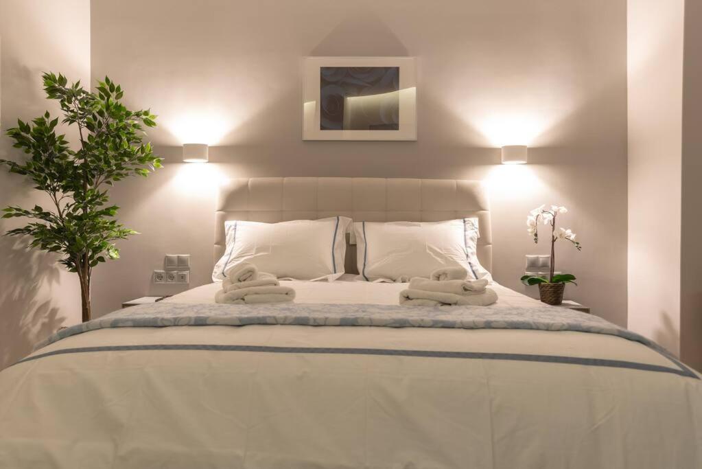 A11 Pristine & Comfy Studio Near Plaka & Parthenon Афіни Екстер'єр фото